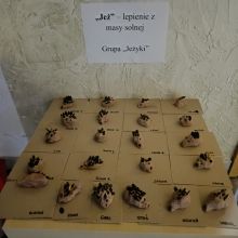 img wa0021