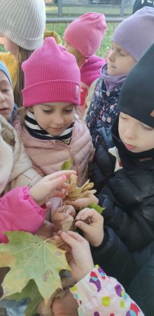 img 20241018
