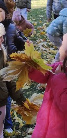 img 20241018