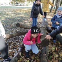 img 20241018